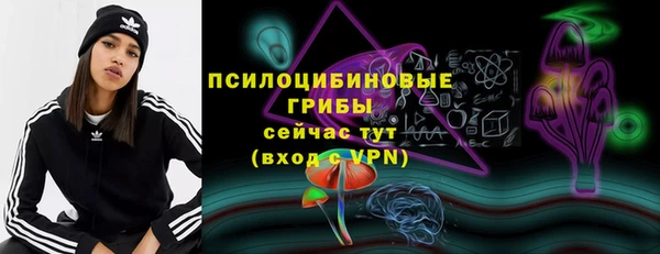 сатива Нея