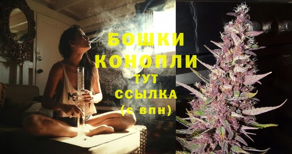 стафф Нефтегорск