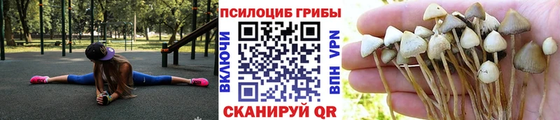 Псилоцибиновые грибы прущие грибы  купить   Рыльск 